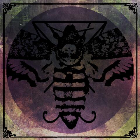 Death's Head Moth