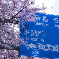 next2u (feat. lephina)