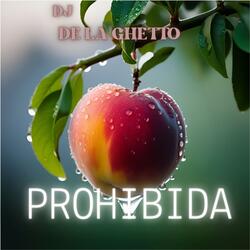 PROHIBIDA