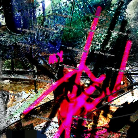 Self DestruCTl0N OF T-h-E MIND