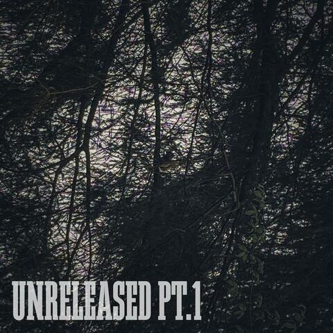 Unreleased Pt. 1