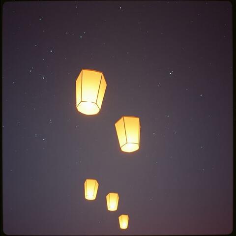 In to the Light