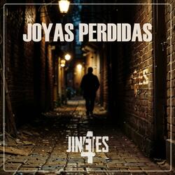 Joyas perdidas