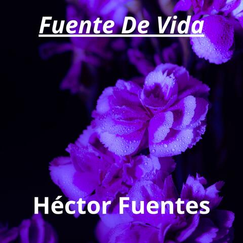 Fuente De Vida