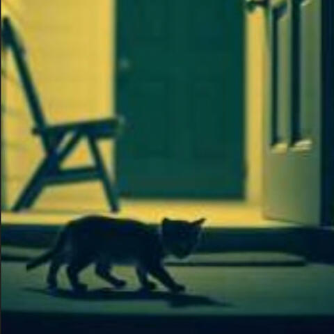 Come Home, My Shadow