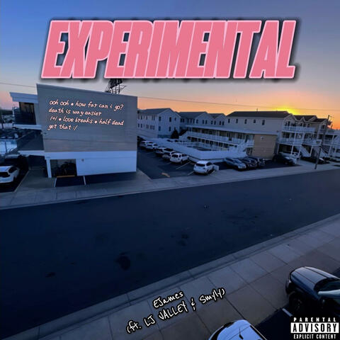 EXPERIMENTAL