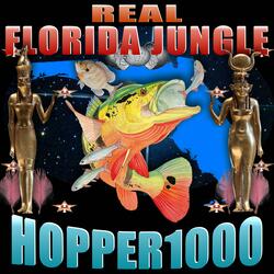 Tote it hopper1000  (remix)