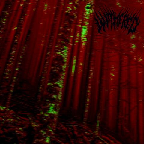 Below Dark Trees