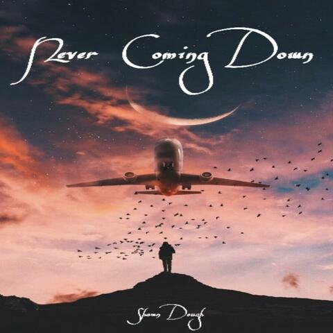 Never Coming Down