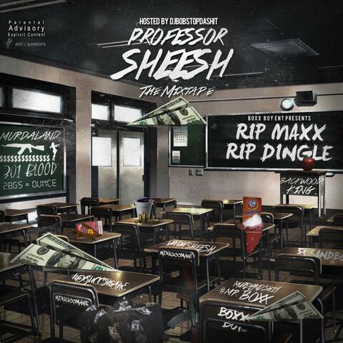 Professor Sheesh