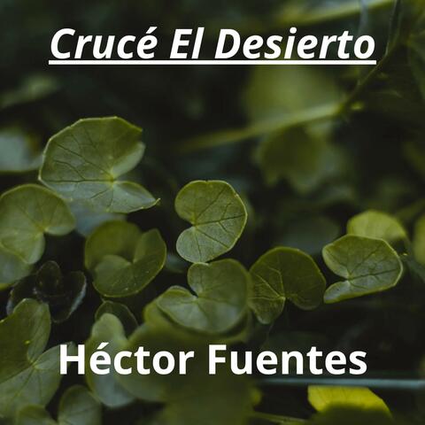 Crucé El Desierto