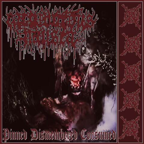 PINNED DISMEMBERED CONSUMED