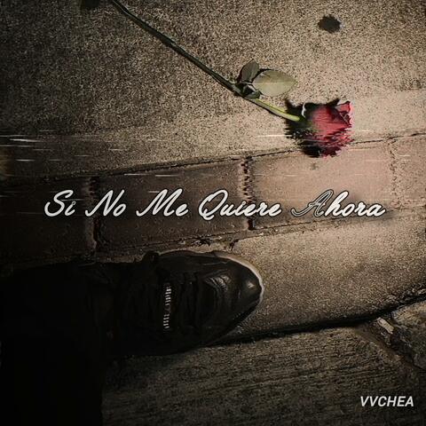 Si No Me Quiere Ahora