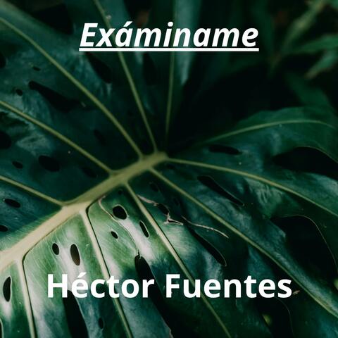 Exáminame