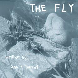 The Fly