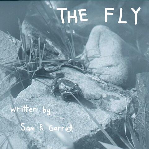 The Fly