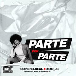 Parte Por Parte