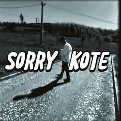 Sorry kotě