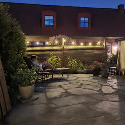 Fråga Lund (och du får svar)