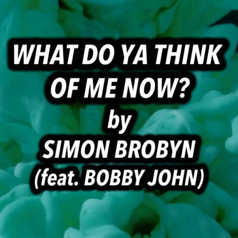 What Do Ya Think Of Me Now?