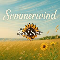 Sommerwind