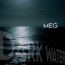 Dark Water