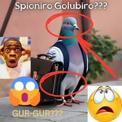 Spioniro Golubiro 8??? -GUR GUR hmmmm??