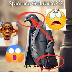 Spioniro Golubiro 5