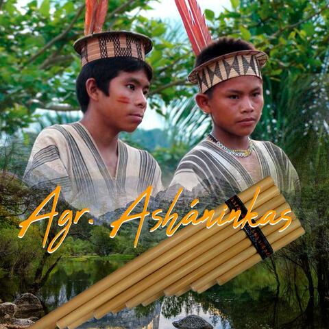 Grupo asháninka