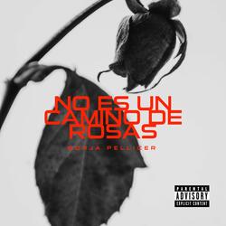 No es un camino de rosas