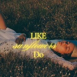 Like sunflowers do