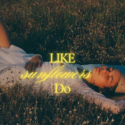 Like sunflowers do