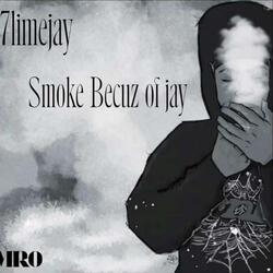 7LIMEJAY (41)