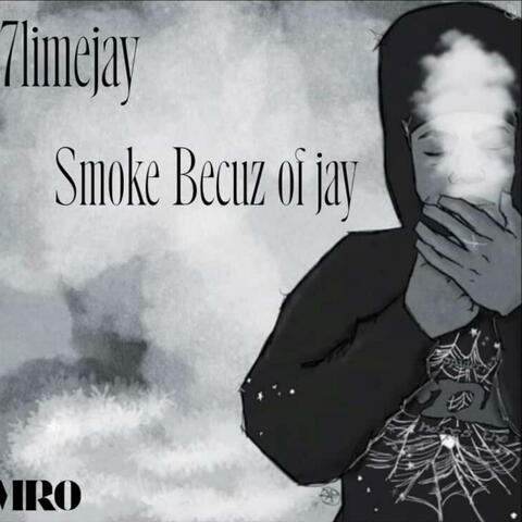 7LIMEJAY (41)