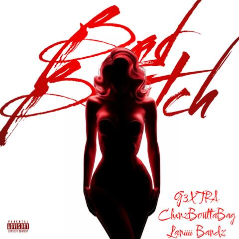Bad Bitch (feat. ChxnzBouttaBag & Laniiii_bandzz)