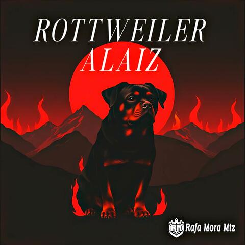 ROTTWEILER ALAIZ