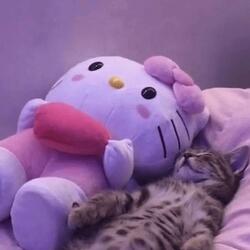 courtside sippin hennessy