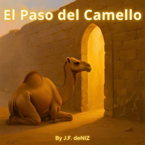 El Paso Del Camello