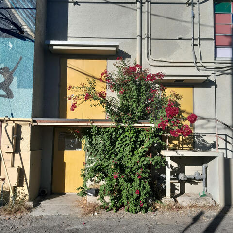 CCTV