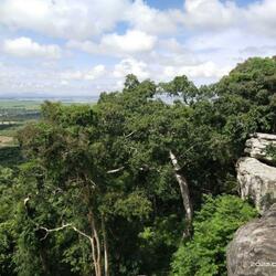 ភាពរឹងមាំ