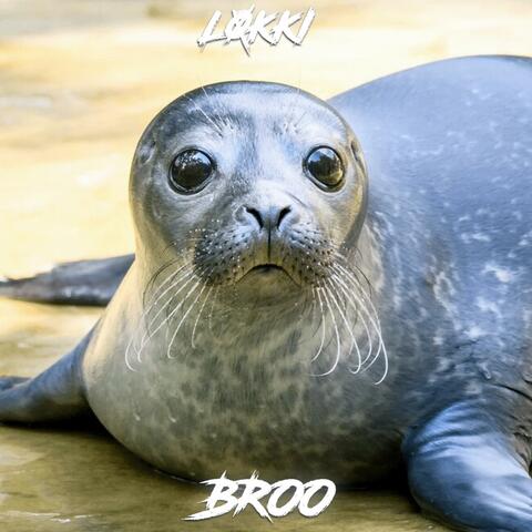 BROO