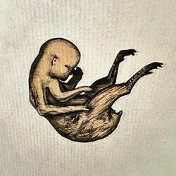 The Orphan