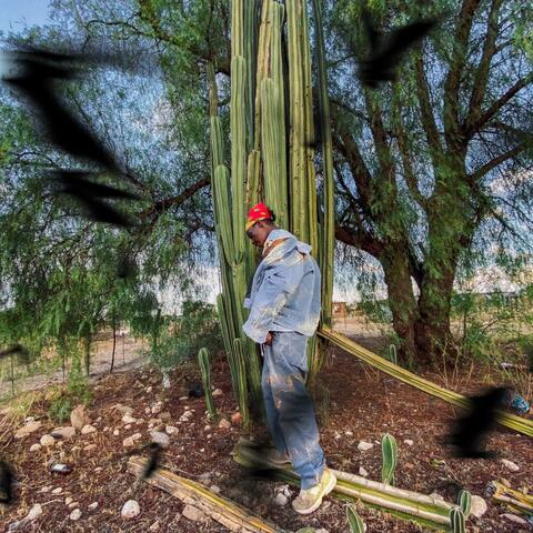 West $ide