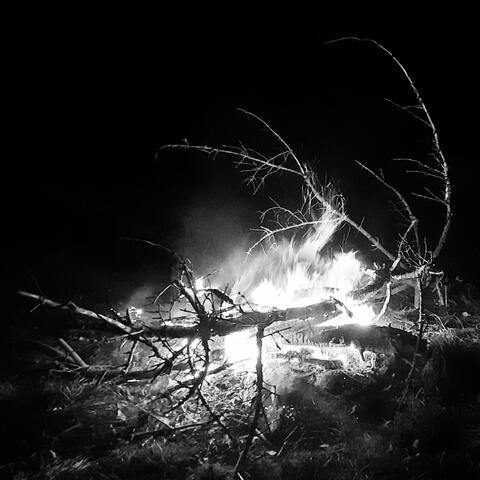 nothing new (live 2025) (Live)