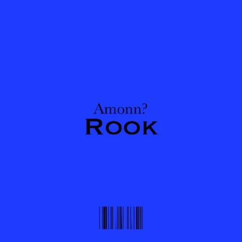 Rook