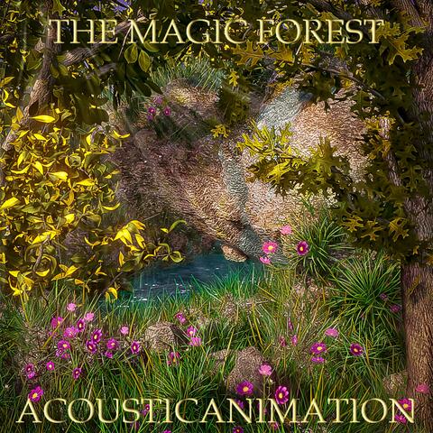 The Magic Forest
