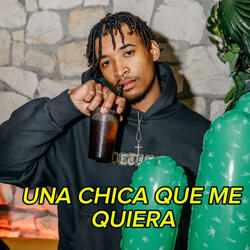 una chica que me quieraa
