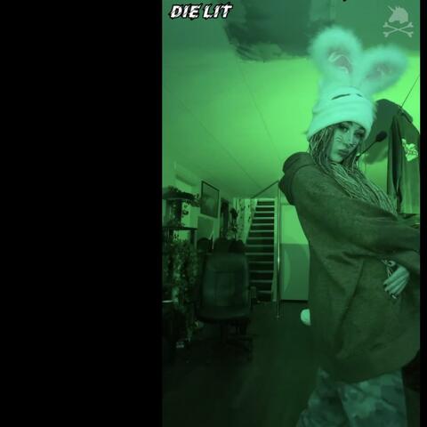 Die Lit