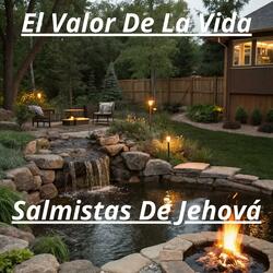 El Valor De La Vida