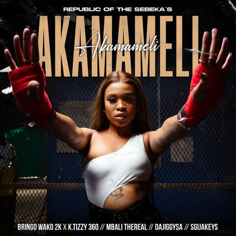 AKAMAMELI (feat. Bringo wako 2k, Mbali thereal, Dajiggysa & Sgijakeys) [Radio Edit]